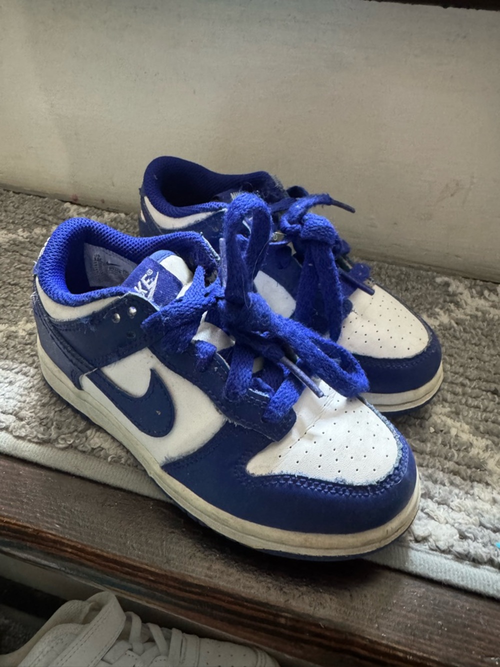 Kids Nike dunks